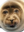 Random seal will appear here.